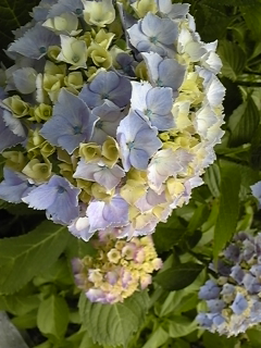 b0145616_0294120.jpg