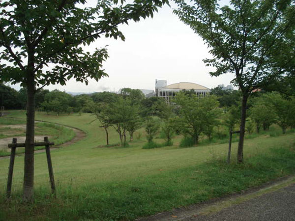 e0110719_3143016.jpg