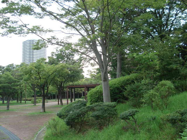 e0110719_3144489.jpg