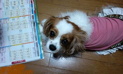 b0102023_2212357.jpg