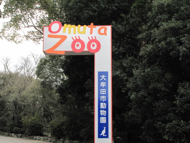 2009年冬休み！レッサーパンダ詣で！<b>大牟田市動物園</b>編