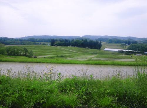 e0078125_2254635.jpg