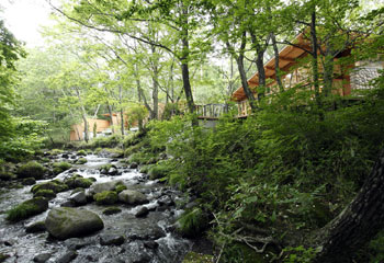 e0171426_02225.jpg