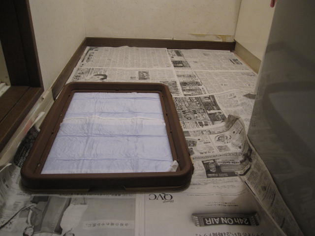 e0191826_2302411.jpg