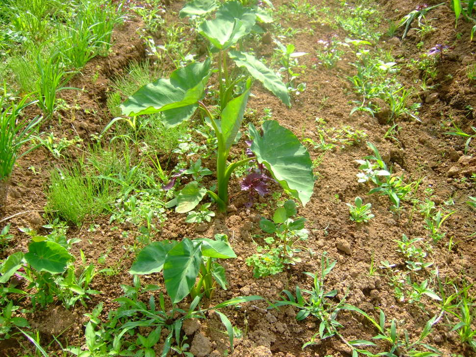 b0137932_18434686.jpg
