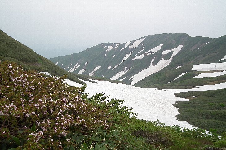 f0118332_23534712.jpg