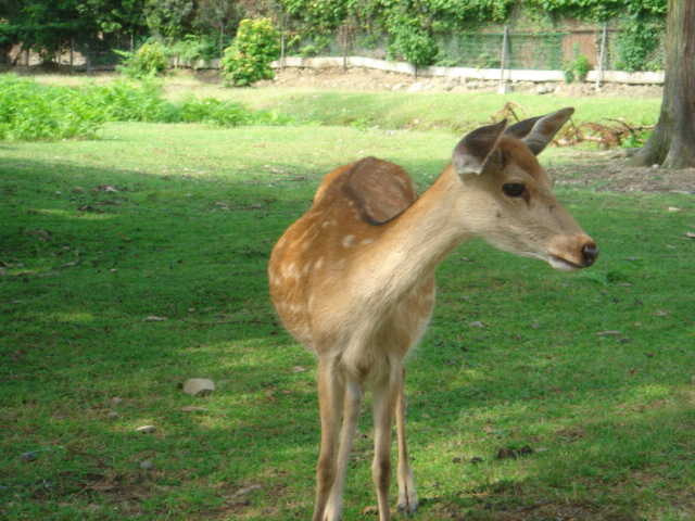 c0100534_21272472.jpg