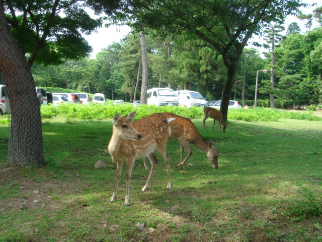 c0100534_21273660.jpg