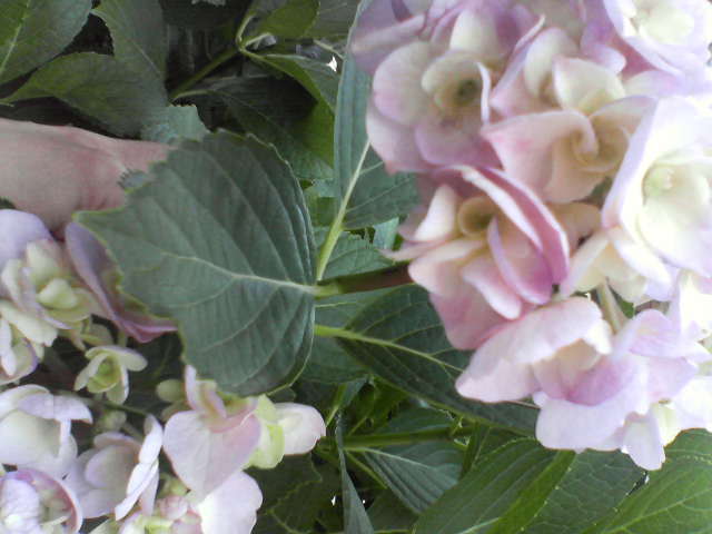 f0237037_015068.jpg