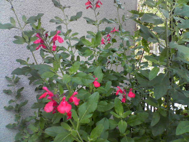f0237037_053763.jpg