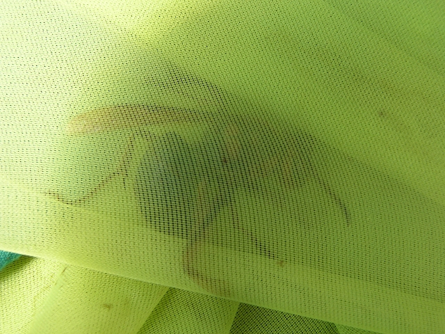 b0099538_7342664.jpg