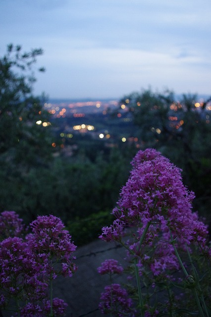 d0092439_19141915.jpg