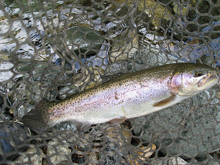 f0065341_15131217.jpg