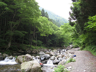 f0065341_1513482.jpg