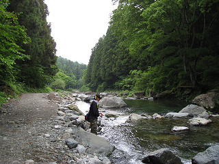 f0065341_1517217.jpg