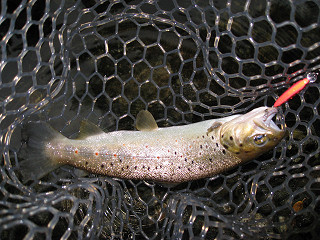 f0065341_15383032.jpg