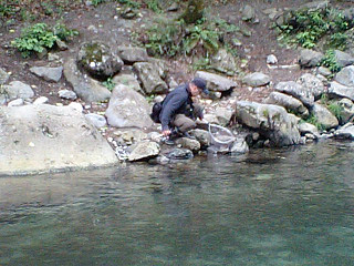 f0065341_15402590.jpg