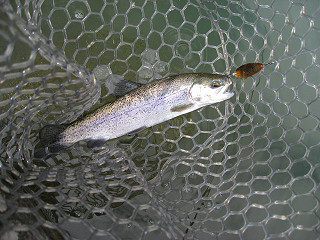 f0065341_159584.jpg