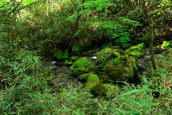 c0228945_5133770.jpg
