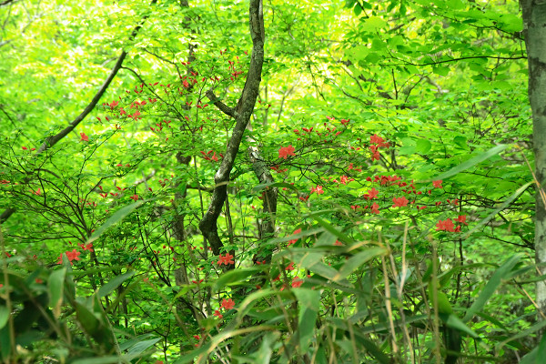 c0228945_5191448.jpg