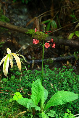 c0228945_581741.jpg
