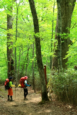 c0228945_644772.jpg