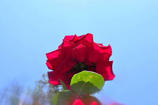 f0214648_2218784.jpg
