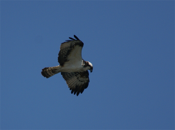 f0214649_2151095.jpg