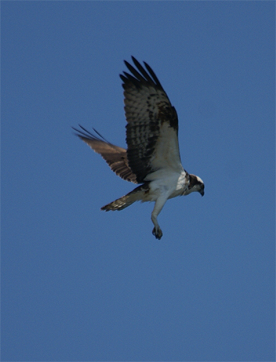 f0214649_2163051.jpg