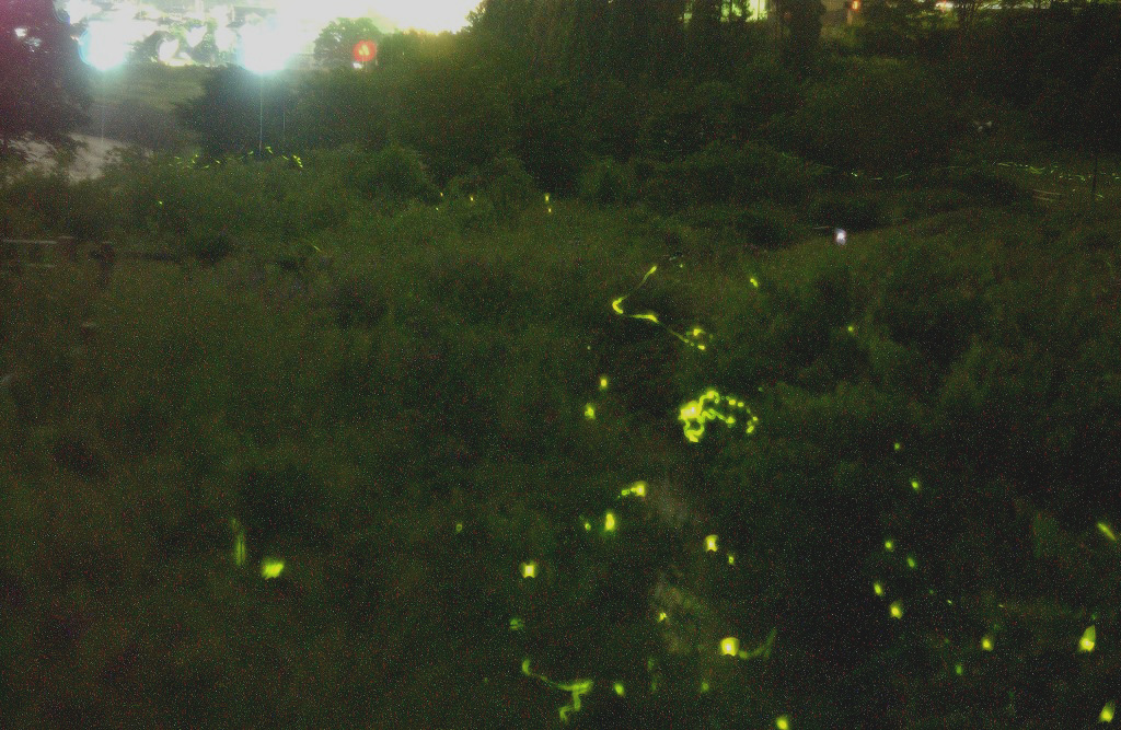 b0029350_14184940.jpg