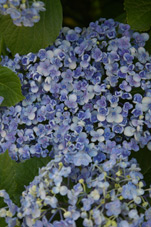 c0030455_16222947.jpg