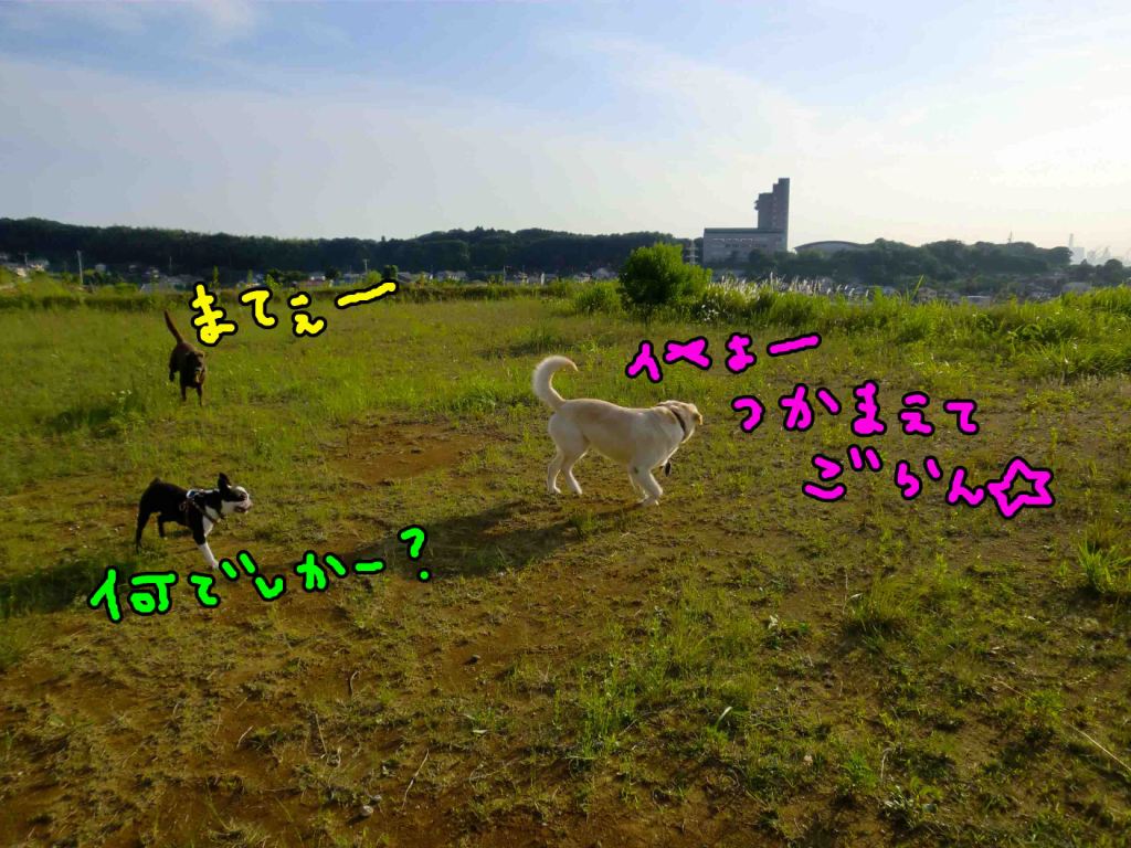 a0167556_12525624.jpg