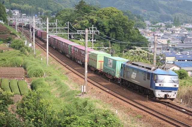 b0002858_1262824.jpg
