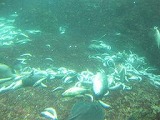 b0086362_2111952.jpg