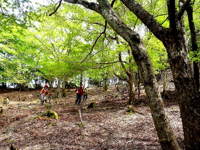 b0044663_1239241.jpg