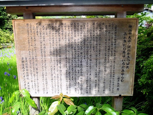 b0044663_1304717.jpg