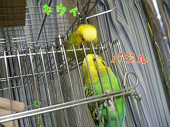 f0196665_23405773.jpg