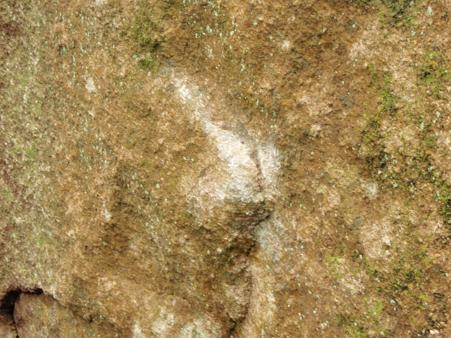 b0083170_13262465.jpg