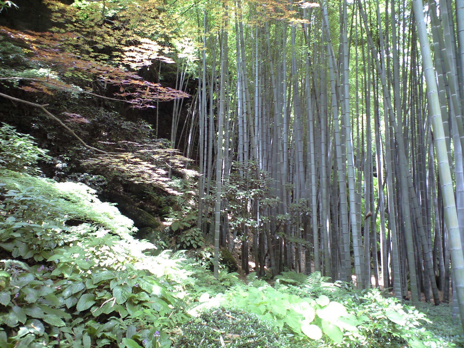 a0152078_2320327.jpg