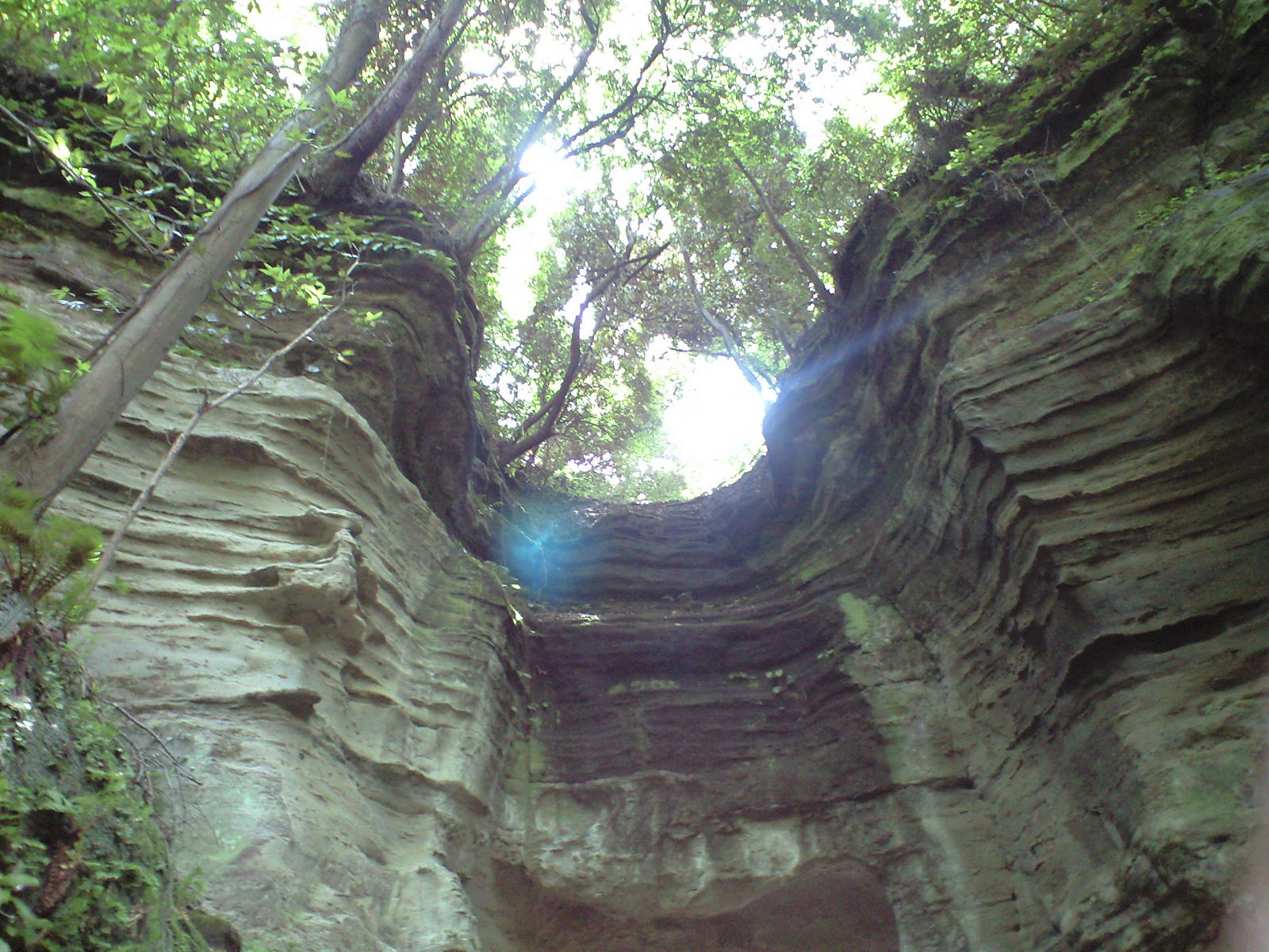 a0152078_2320459.jpg