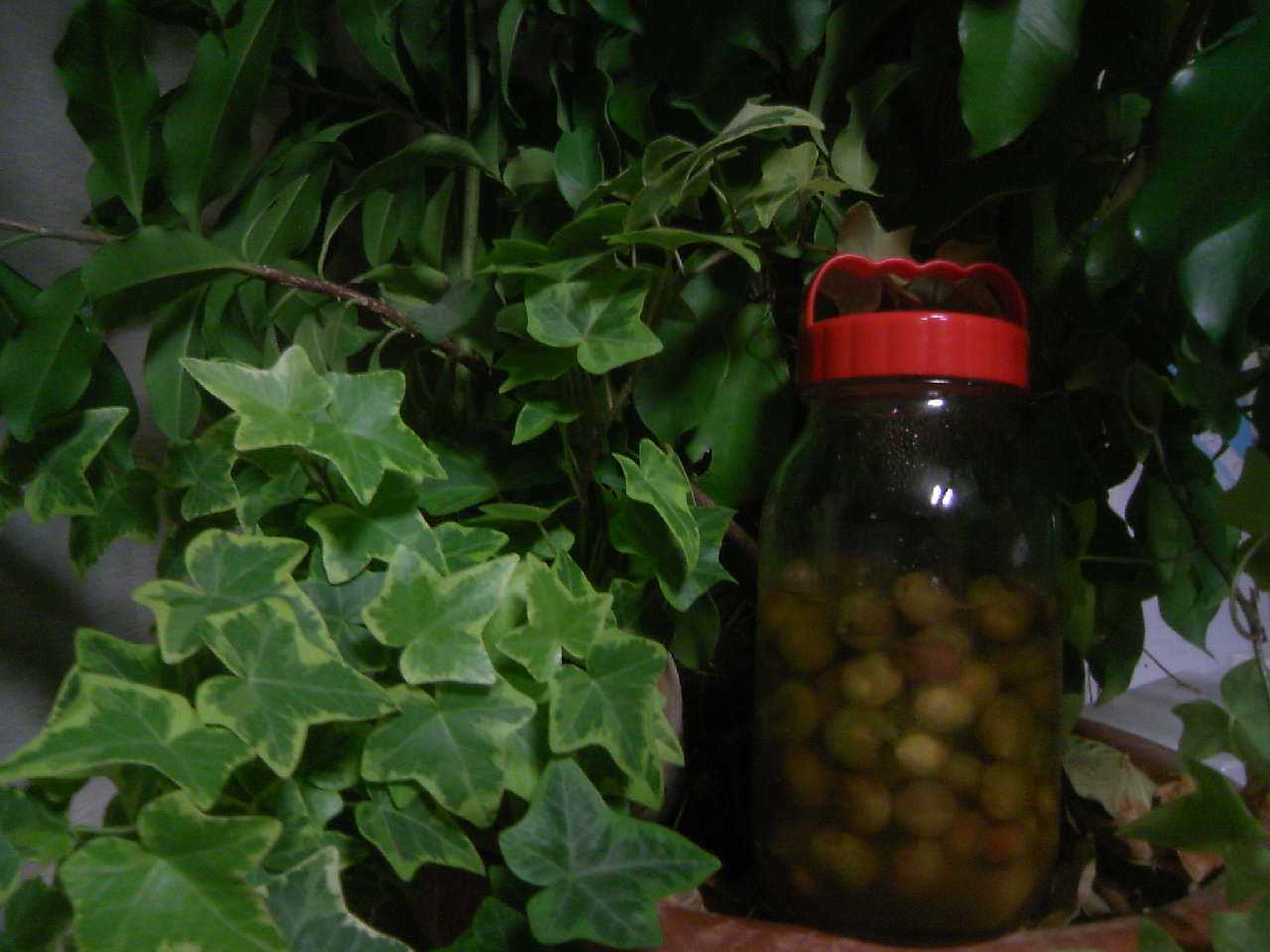 f0203580_024073.jpg