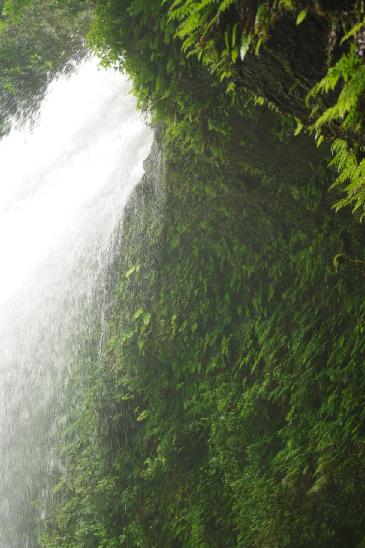 c0182782_2294073.jpg