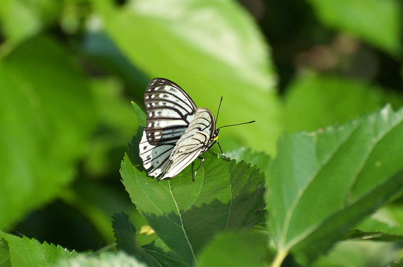 f0031682_2371215.jpg