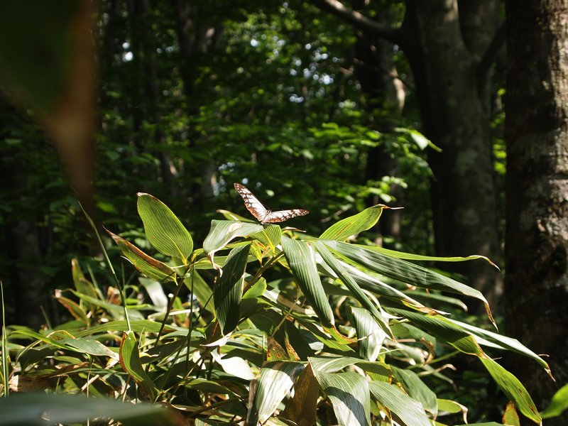 b0108186_004920.jpg