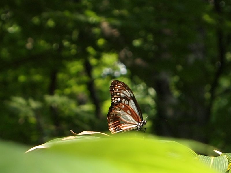 b0108186_011731.jpg