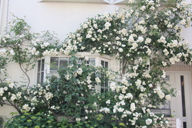 f0088586_13244115.jpg