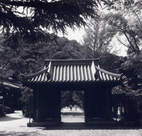 c0046587_221942.jpg