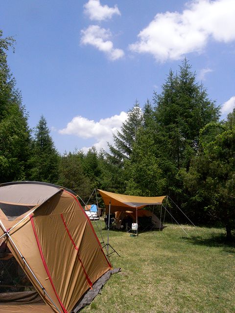 a0093592_233543.jpg