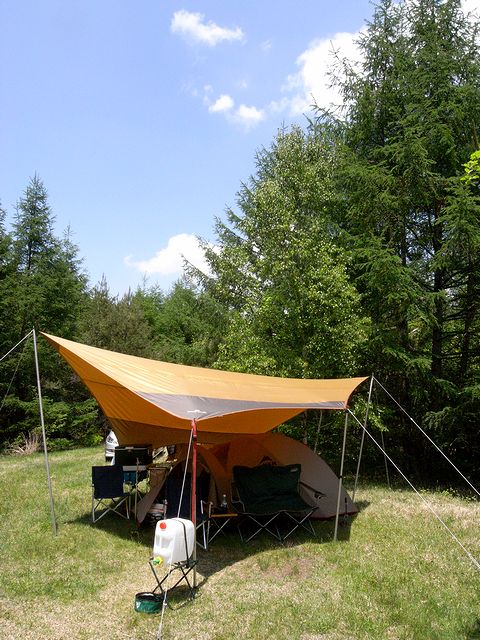 a0093592_2343339.jpg