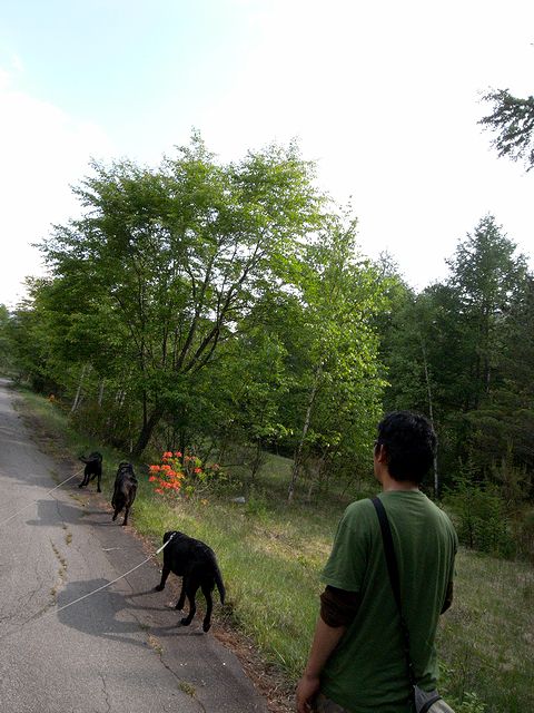 a0093592_23452727.jpg